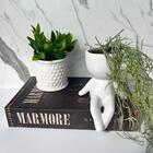 Livro Decorativo, Vaso Bob Branco E Vaso Branco De Cerâmica