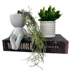 Livro Decorativo, Vaso Bob Branco E Vaso Branco De Cerâmica