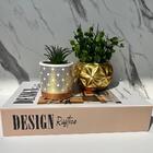 Livro Decorativo, Vaso Dourado E Vaso Estampa Geométrica