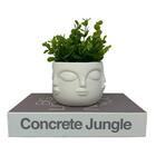 Livro Decorativo, Vaso Máscara Branco De Cerâmica Trabalhado