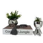 Livro Decorativo, Vaso Prata, Vaso Bob E Colar Japamala