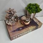 Livro Londres + Vaso Cerâmico + Potiche Abacaxi + Maçã Rose