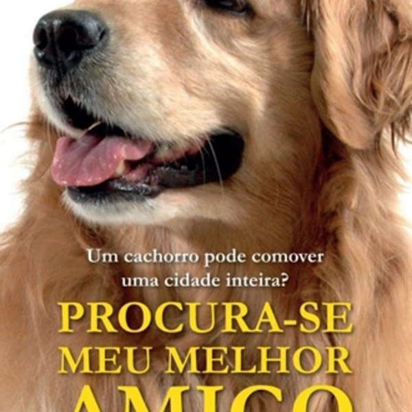 Livro - Procura-se Meu Melhor Amigo - Pauls Toutonghi