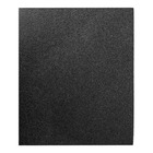 Lixa Ferro P220 Tigre