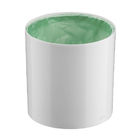 Lixeira 05 Litros Tampa De Pegar Com Aro Interno Branca - Wp