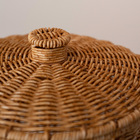 Lixeira 10L Plástico Manual Marrom Rattan Oikos