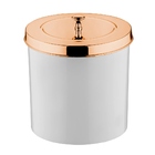 Lixeira 5 Litros Cesto Lixo Cozinha Banheiro Branco Rose