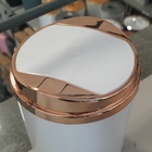 Lixeira 5l Com Tampa Basculante Rosè Gold Casa Rotaplast Bran