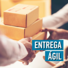 Lixeira Cesto De Lixo Bold Com Tampa Ou 6l Envio Imediato Bra