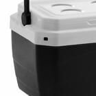 Lixeira De Pia Rattan 5 Litros Verde Com Tampa