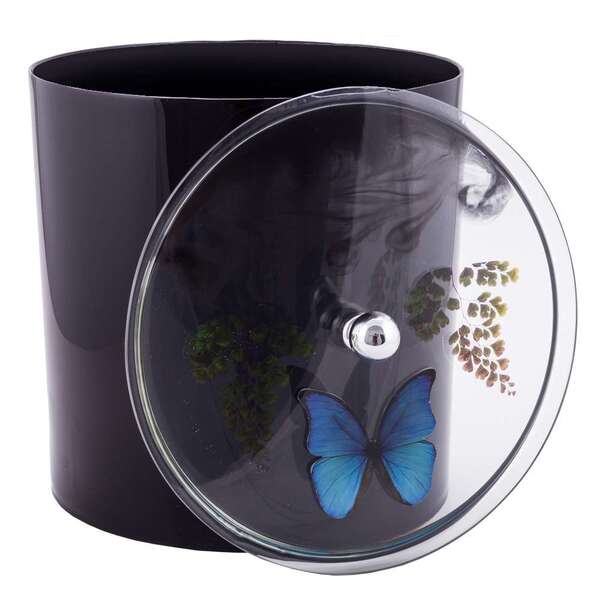 Lixeira Decorada Preto Com Borboleta Azul