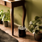 Lixeira Decorada Preto Com Borboleta Azul