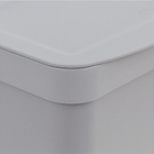 Lixeira Trium 2,5 Litros Chumbo OU