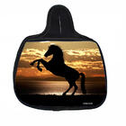 Lixo Car  Cavalo Quarto De Milha Material Neoprene 3mm Medida