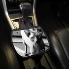 Lixo Car  Gato Sphynx Material Neoprene 3 Mm 30x25