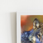 Lobo Animais Fotografia Arte Quadro Moldura Branca 60x40cm