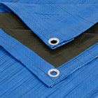 Lona Multiuso Azul 8x12m com Ilhós Dexter