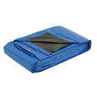 Lona Multiuso Azul 8x12m com Ilhós Dexter