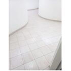 Lr 400 Detergente Limpa Rejunte Desincrustante 05 Lts