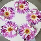 Lugar Americano Bianka - Corte E Sensação 3d - Flor Rosa