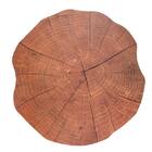 Lugar Americano Em Plástico Copa Cia Giardino 38 5cm Slice