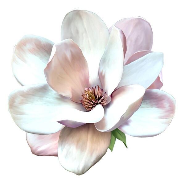 Lugar Americano Neusa - E Sensação 3d - Flor Magnólia