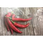 Lugar Americano Plastico 43x28cm Pimenta