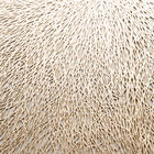 Lugar Americano Redondo Em Plástico Lyor Columbus 38cm Dourado