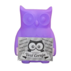 Luminária Abajur Porta Retrato Você Coruja Lilás Roxa Owl