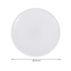 Luminária Ceiling Smart+ Wifi 22w 100-240v Rgbw