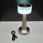 Luminária De Led Mesa Usb Metal 21x9x9cm Prata