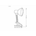 Luminária De Mesa Taschibra Tlm05 E27 Articulável Garra Branc