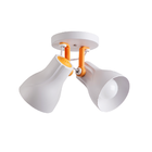 Luminária De Teto Spot Direcionável Octa Plus 2 Lâmpadas Prai