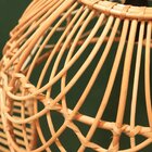 Luminária De Vime Guatambu