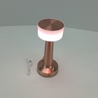 Luminaria Decorativa Enfeite De Mesa Led Usb Home&co Metal 21
