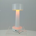 Luminaria Decorativa Enfeite De Mesa Led Usb Home&co Metal 22