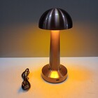 Luminária Led Mesa Usb Metal 21x9x9cm Cobre