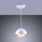 Luminária Pendente Jabuticaba Noruega 1 Lâmpada Para Sala De