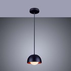 Luminária Pendente Jabuticaba Noruega 1 Lâmpada Para Sala De