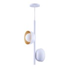 Luminária Pendente Jabuticaba Noruega 2 Lâmpadas Para Sala De