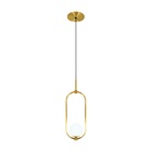 Luminária Pendente Jabuticaba Sala Lavabo Dourada + Lâmpada