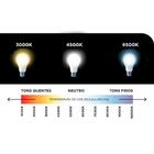 Luminaria Pendente Led Nitrolux Lp-010
