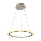 Luminaria Pendente Led Nitrolux Lp-010