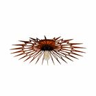 Luminária Plafon Em Madeira -lightning -marrom