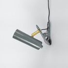 Luminária Presilha Garra Sofhie Cinza