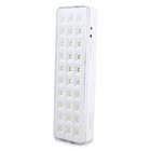Luminária Segurimax Luz De Emergência 30 Leds Premium Bivolt