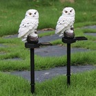 Luminaria Solar Coruja Jardim Quintal Decoraçao Casa Resisten