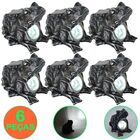 Luminária Solar Jardim 6 Peça Resina Sapo Cbrn13265