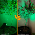 Luminária Spot Solar Espeto De Jardim Potente 12h Refletor Lu