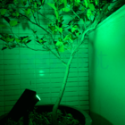 Luminária Spot Solar Espeto De Jardim Potente 12h Refletor Lu